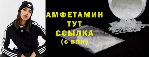 гидра Козловка