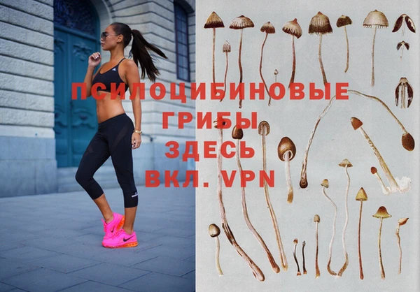 герыч Козельск