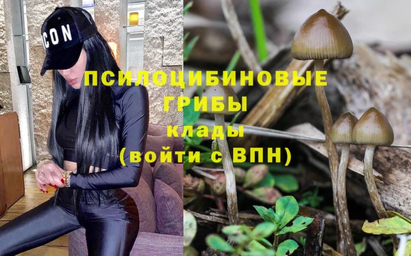 гидра Козловка