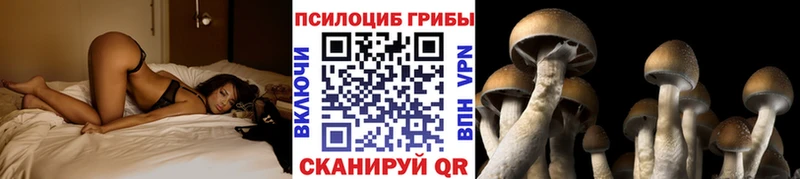 Купить где  Беломорск  Галлюциногенные грибы прущие грибы 